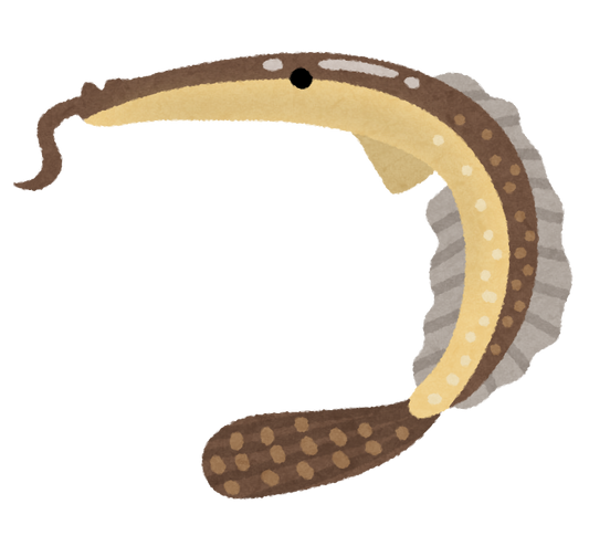 日本一長い和名を持つ魚って知ってる？なんと名前が俳句風！？