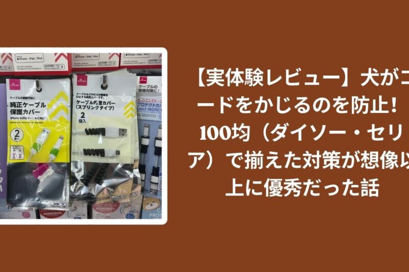 【実体験レビュー】犬がコードをかじるのを防止！100均（ダイソー・セリア）で揃えた対策が想像以上に優秀だった話