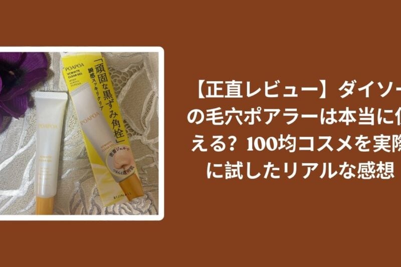【正直レビュー】ダイソーの毛穴ポアラーは本当に使える？100均コスメを実際に試したリアルな感想