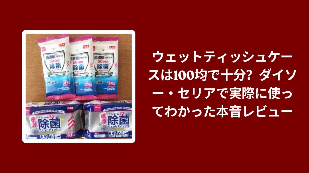 ウェットティッシュケース 100均 ダイソー セリア, ダイソー セリア ウェットティッシュケース 使用レビュー, 100均 ウェットティッシュ ケース 本音レビュー