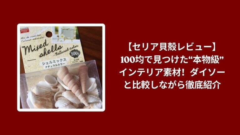 【セリア貝殻レビュー】100均で見つけた“本物級”インテリア素材！ダイソーと比較しながら徹底紹介
