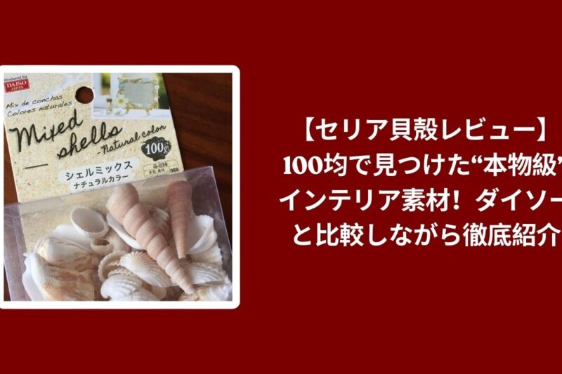 【セリア貝殻レビュー】100均で見つけた“本物級”インテリア素材！ダイソーと比較しながら徹底紹介