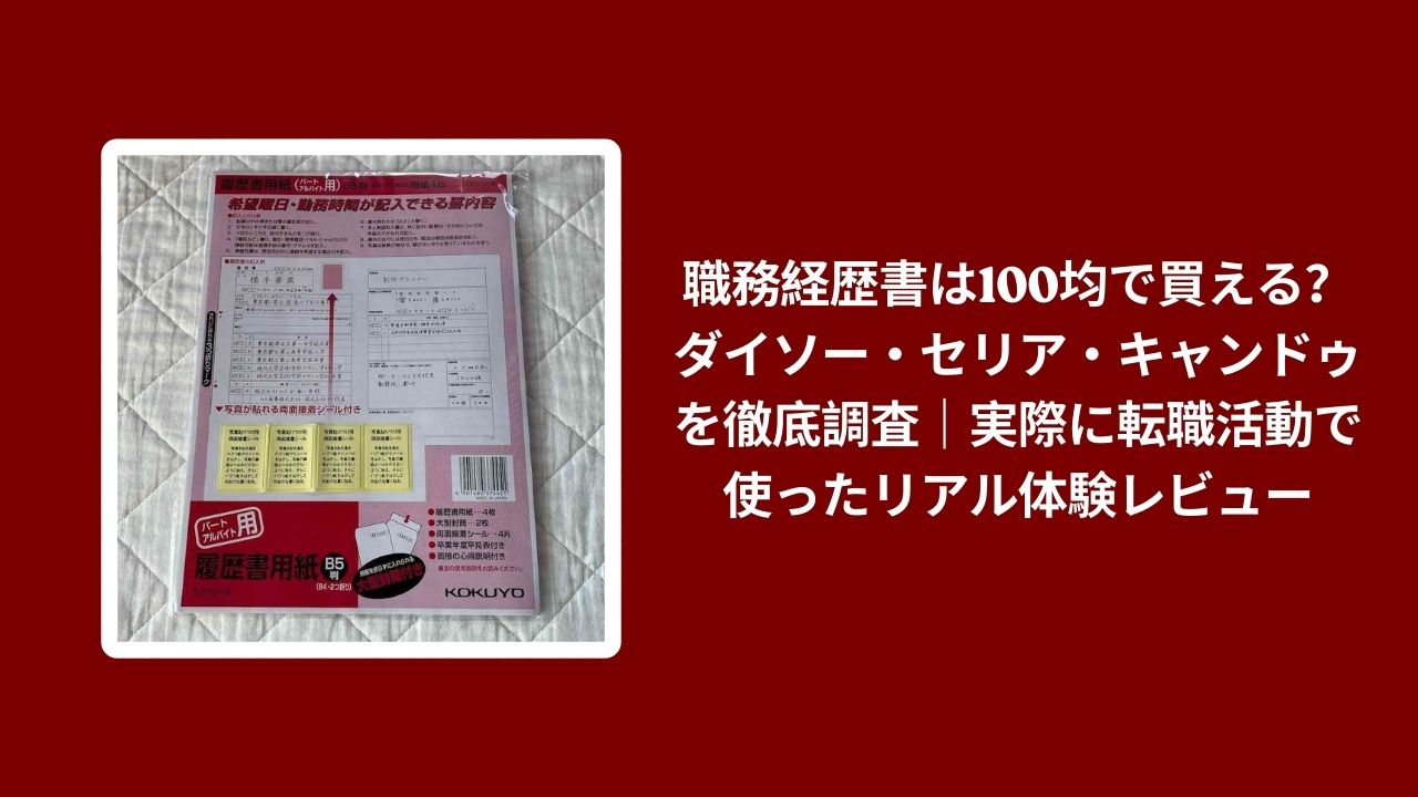 職務経歴書 100均 ダイソー セリア キャンドゥ, 職務経歴書 100均 転職活動, 職務経歴書 100均 使ってみた, 100均 職務経歴書 リアル体験