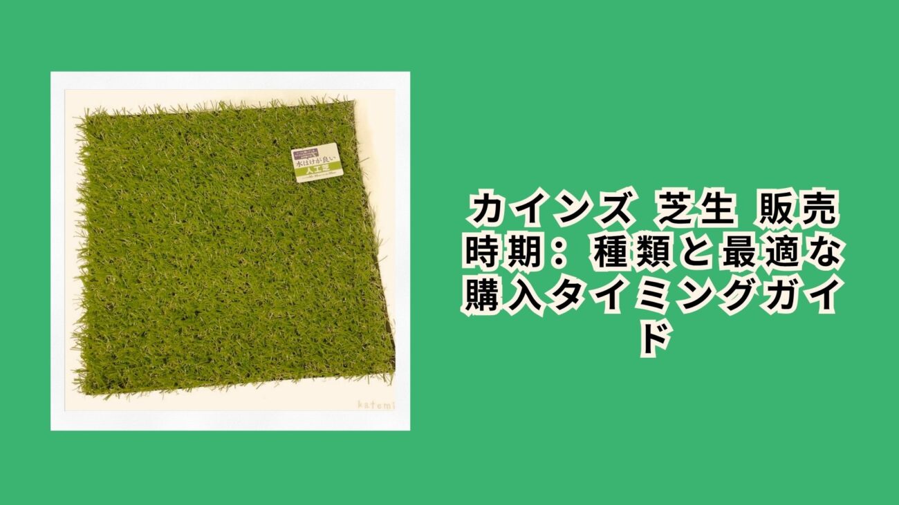 カインズ 芝生 販売時期：種類と最適な購入タイミングガイド