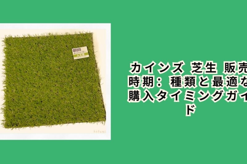 カインズ 芝生 販売時期：種類と最適な購入タイミングガイド