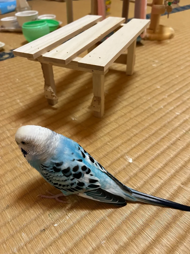 コーディネート事例とアイディア