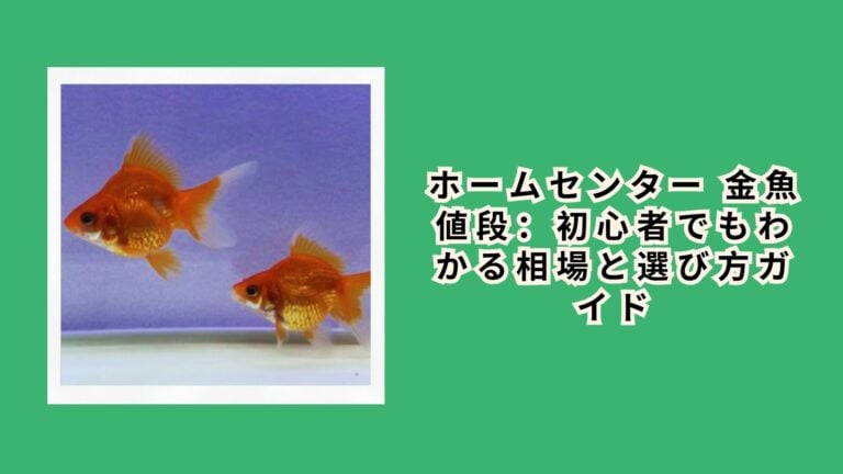 ホームセンター 金魚 値段：初心者でもわかる相場と選び方ガイド
