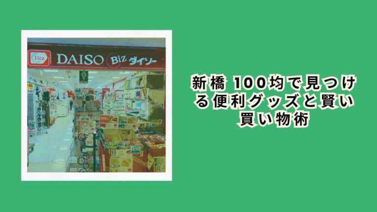 新橋 100均で見つける便利グッズと賢い買い物術