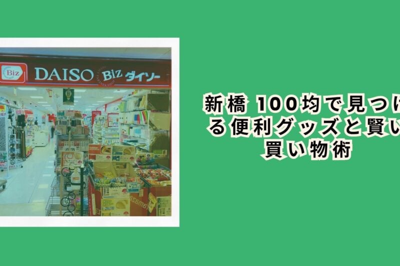 新橋 100均で見つける便利グッズと賢い買い物術