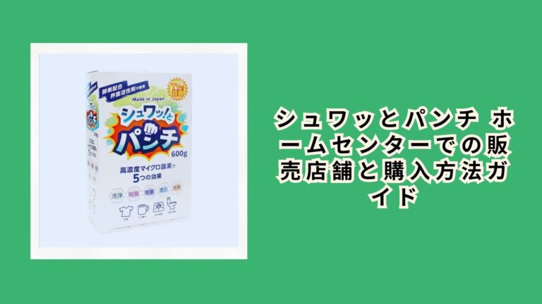 シュワッとパンチ ホームセンターでの販売店舗と購入方法ガイド