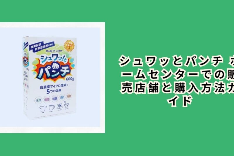 シュワッとパンチ ホームセンターでの販売店舗と購入方法ガイド