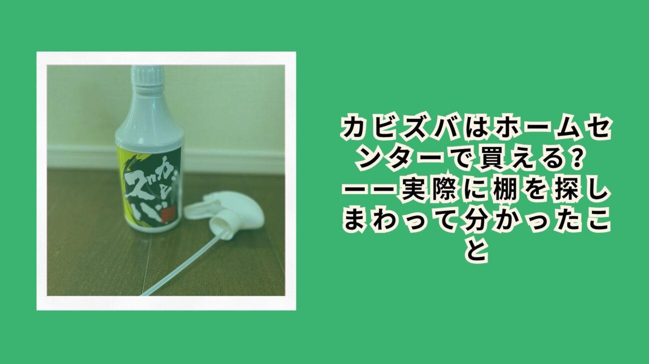 カビズバはホームセンターで買える？——実際に棚を探しまわって分かったこと