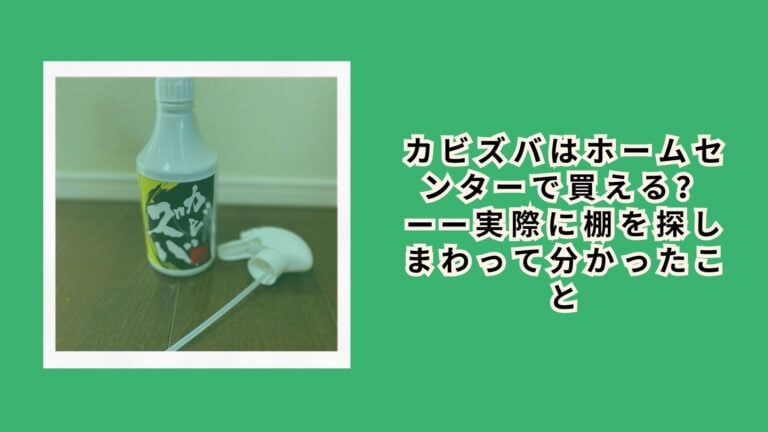カビズバはホームセンターで買える？——実際に棚を探しまわって分かったこと