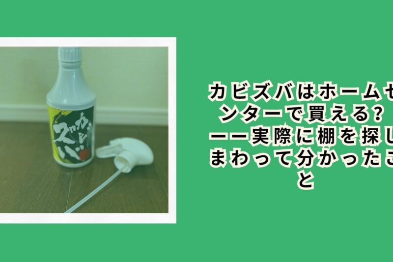 カビズバはホームセンターで買える？——実際に棚を探しまわって分かったこと